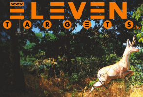 Eleven Targets