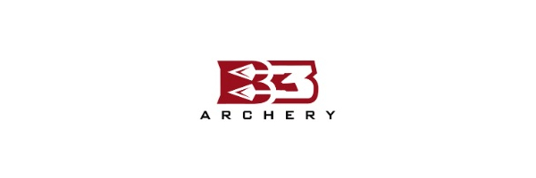 B 3