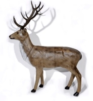 3D-Tiere