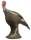 Longlife Truthenne Kat. 4
