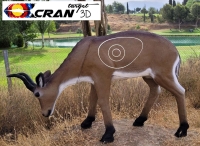 Afrikanischer Hirsch
