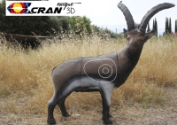 Bergziege (Iberischer Steinbock)