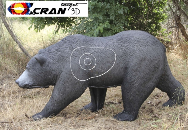 Braunbär laufend