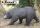 Braunbär laufend