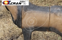 Balearen Bock