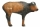 Leitold Bisonkalb stehend